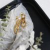 Gold Plated Stainless Steel Fashion Chain Drop Earrings